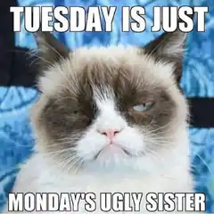 Grumpy Cat Tuesday Is Just Monday's Ugly Sister