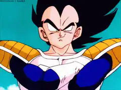 Vegeta arms crossed