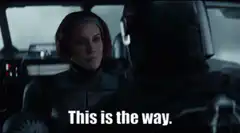 This is the way