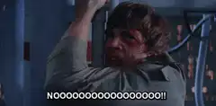 Luke Skywalker screaming NOOOOO