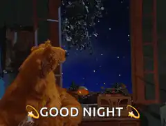 Bear says good night to the moon