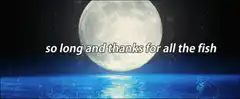 Dolphins jumping in front of the moon