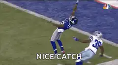 Eli Manning diving catch