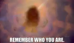 Remember Who You Are Gorilla