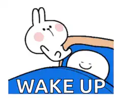 Rabbit waking up sleepy friend