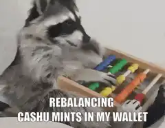 Raccoon rebalancing cash mints