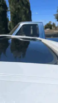 Hand flips bird from car window