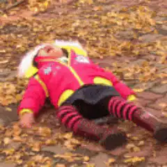 Toddler falling backward into autumn leaves