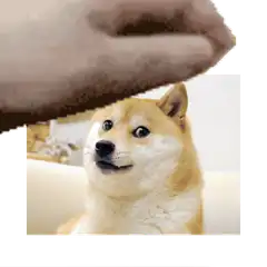 Doge getting headpatted