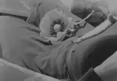 hand resting on flower