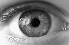 Close-up of a human eye