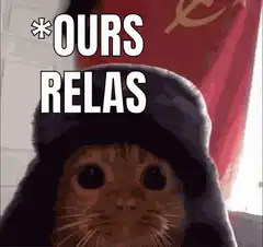Cat in ushanka hat ours relas