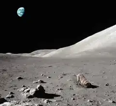 dog on the moon with earth in sky