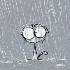 Cat getting soaked in the rain