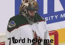 Hockey goalie falls over lord help me