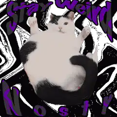 Spinning cat with teeth border