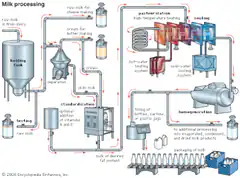 Milk processing flowchart diagram