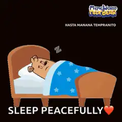 MemeWorld Max Bear Sleep Peacefully