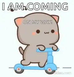 Cat on scooter I am coming on my way