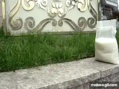 Bag of rice falls over and spills