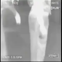 Thermal camera view of a person and a dark blob