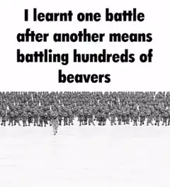 One battle after another means battling hundreds of beavers