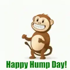 Happy Hump Day Monkey