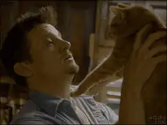 Jeremy Renner cat paw on face