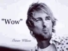 Owen Wilson Wow Reaction