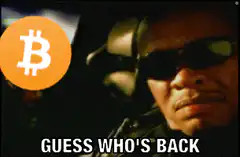 Guess Who's Back Bitcoin