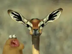 Gazelle and Mr. Potato Head