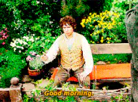 Bilbo Baggins saying Good morning