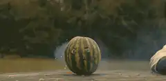 watermelon explodes