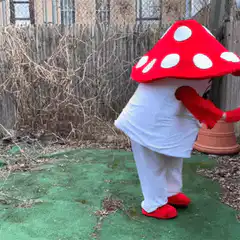 Mushroom mascot dancing in backyard