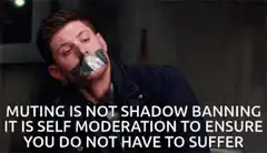 Muting is not shadow banning