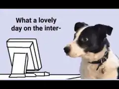 Dog on the internet good lord