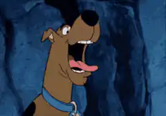 Scooby Doo catches a cookie