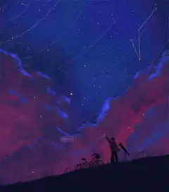 Person pointing at shooting stars
