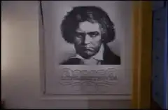 Ludwig van Beethoven portrait zoom