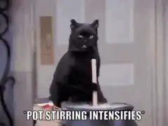 Black Cat Stirring Pot Intensifies