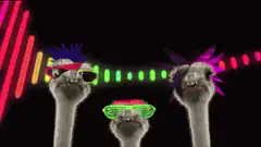 Ostriches with sunglasses and neon equalizer