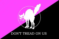 Cat Don't Tread On Us Flag