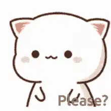 Cute cat begging please