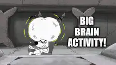 Big Brain Activity
