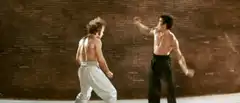 Bruce Lee vs Chuck Norris fight scene