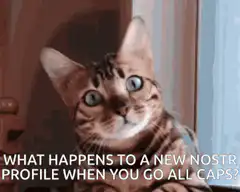 Cat zooming in with wide eyes