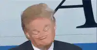 Donald Trump facepalm then smile