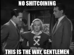 No Shitcoining This Is The Way Gentlemen
