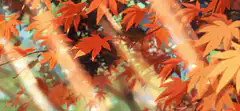 falling autumn maple leaf