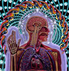 psychedelic anatomical figure